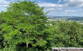 Wohlfühloase mitten in Koblenz Karthause